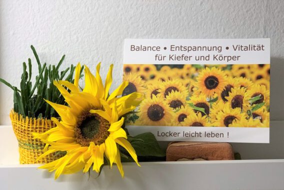 Postkarte mit Sonnenblumenfeld, daneben keiner Blumentopf und liegende Sonnenblume