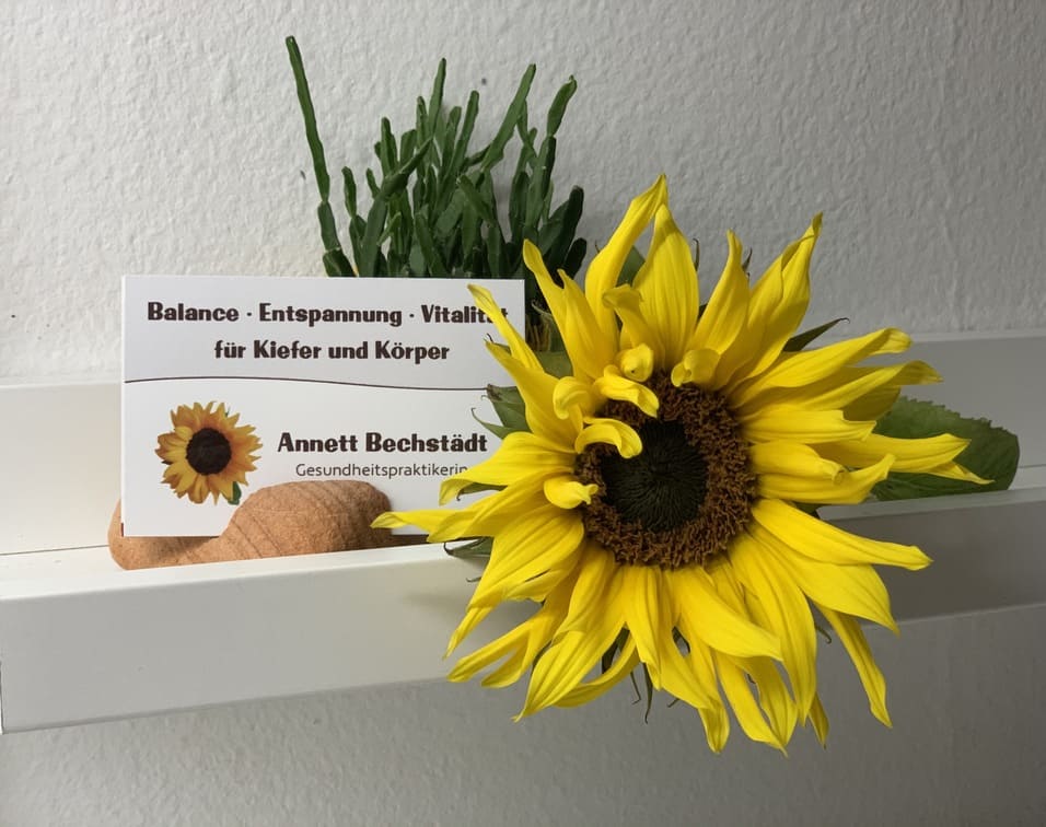 Sonnenblume mit Visitenkarte von Kieferentspannung München